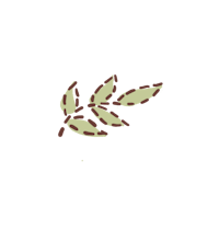 a leaf on a black background