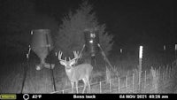 a black and white image of a deer standing in front of a feeder