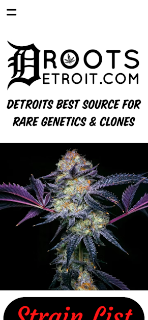 roots of nature detroit