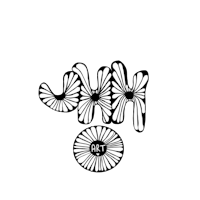 a black background with white flowers on it