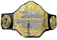 tna wrestling heavyweight championship belt