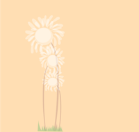three dandelions on a beige background