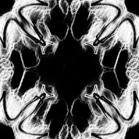 a black and white image of a flower