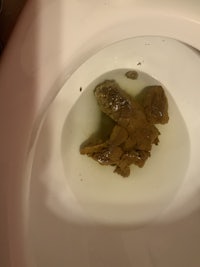 a toilet with a piece of weed in it