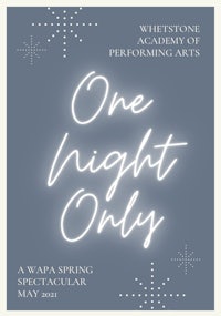 one night only poster