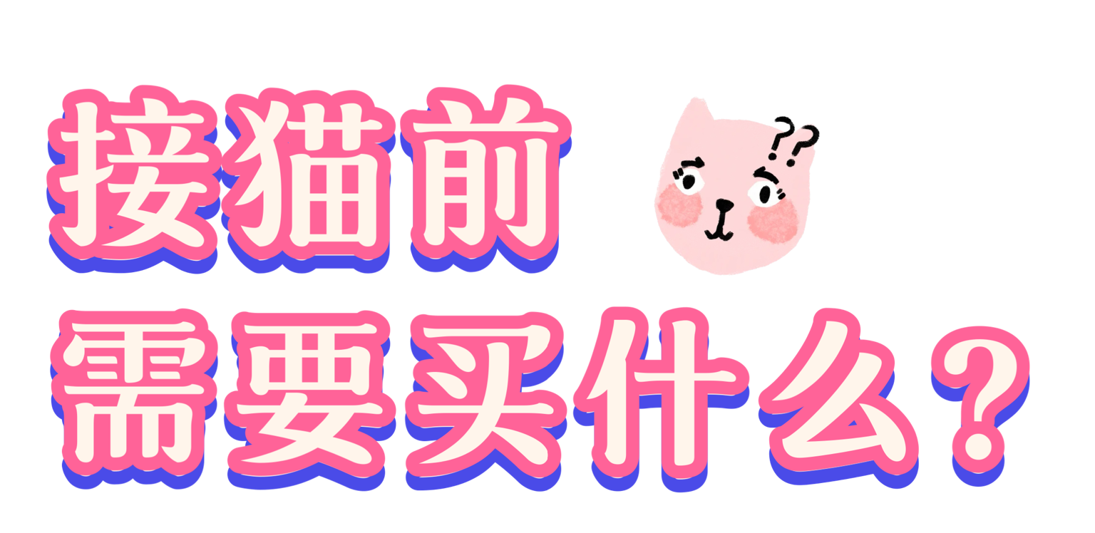 接猫前要买什么 学姐的猫舍 Cattery In New York