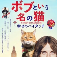 a poster for the japanese movie street cat named for me
