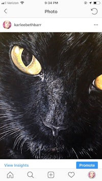 a picture of a black cat with yellow eyes