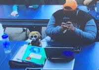 a man sitting at a desk with a stuffed animal
