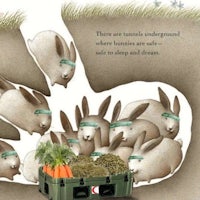 there are rabbits underground where rabbits are safe