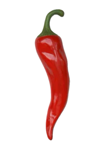 a red chili pepper on a black background
