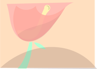 a pink flower on a beige background