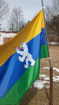 a flag with a bear on it
