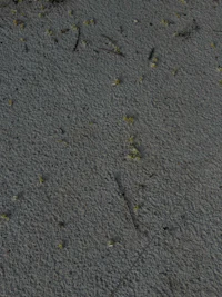 a man is sitting on the ground with a cigarette in his hand
