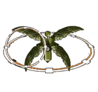 a green and orange hula hoop on a black background