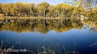 a lake with trees reflected in it