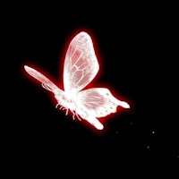 a white butterfly flying on a black background