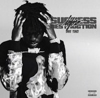 the cover of the album,'success destruction'