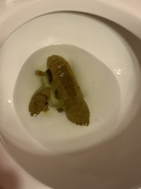a toilet with a piece of food in it