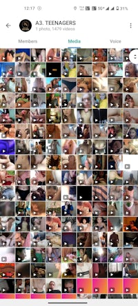 a screenshot of a group of pictures on a phone