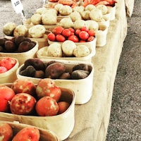 a farmer's market with a variety of vegetables on display