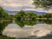 a pond surrounded by trees and mountains