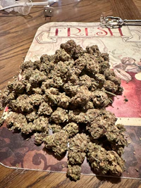 a pile of marijuana on top of a piece of paper