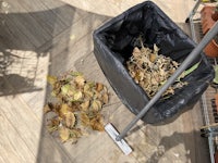 a black garbage bag filled with leaves on a tiled floor