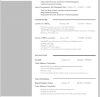 an example of a professional resume template
