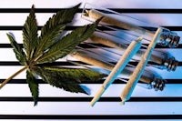 a bunch of marijuana leaves on a black and white striped background