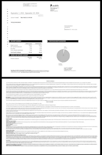 a black and white image of a financial report