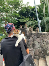 a man is carrying a cat on his back