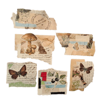 a collection of old papers with butterflies and mushrooms on them