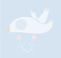 a white bird with a flower in its beak