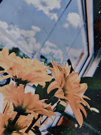 a vase of yellow flowers in front of a window