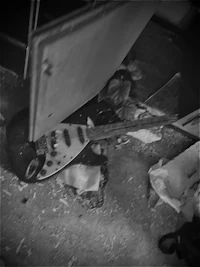 a black and white photo of a guitar
