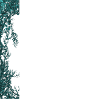 a black background with a teal background