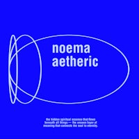 the cover of noema aethetic