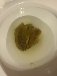 a toilet bowl with a piece of food in it