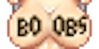 a pixelated image of a woman's breasts with the word boobs