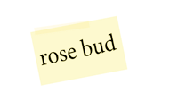 a yellow post it note with the word rose bud on it
