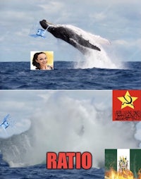 an image of a whale jumping out of the water