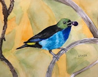 a watercolor painting of a blue and green bird