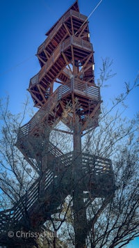 a wooden tower in the middle of a tree