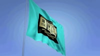 a green and black flag flying in the wind