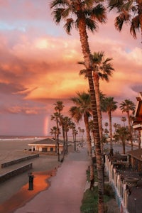sunset at the beach with palm trees and a rainbow