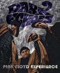 dark echoes - pink stod experience