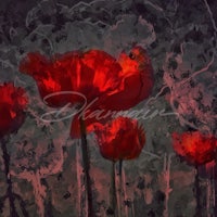 a painting of red poppies on a dark background