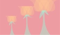 a pink background with three tulip shaped flowers