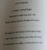 an open book with the words up in smoke